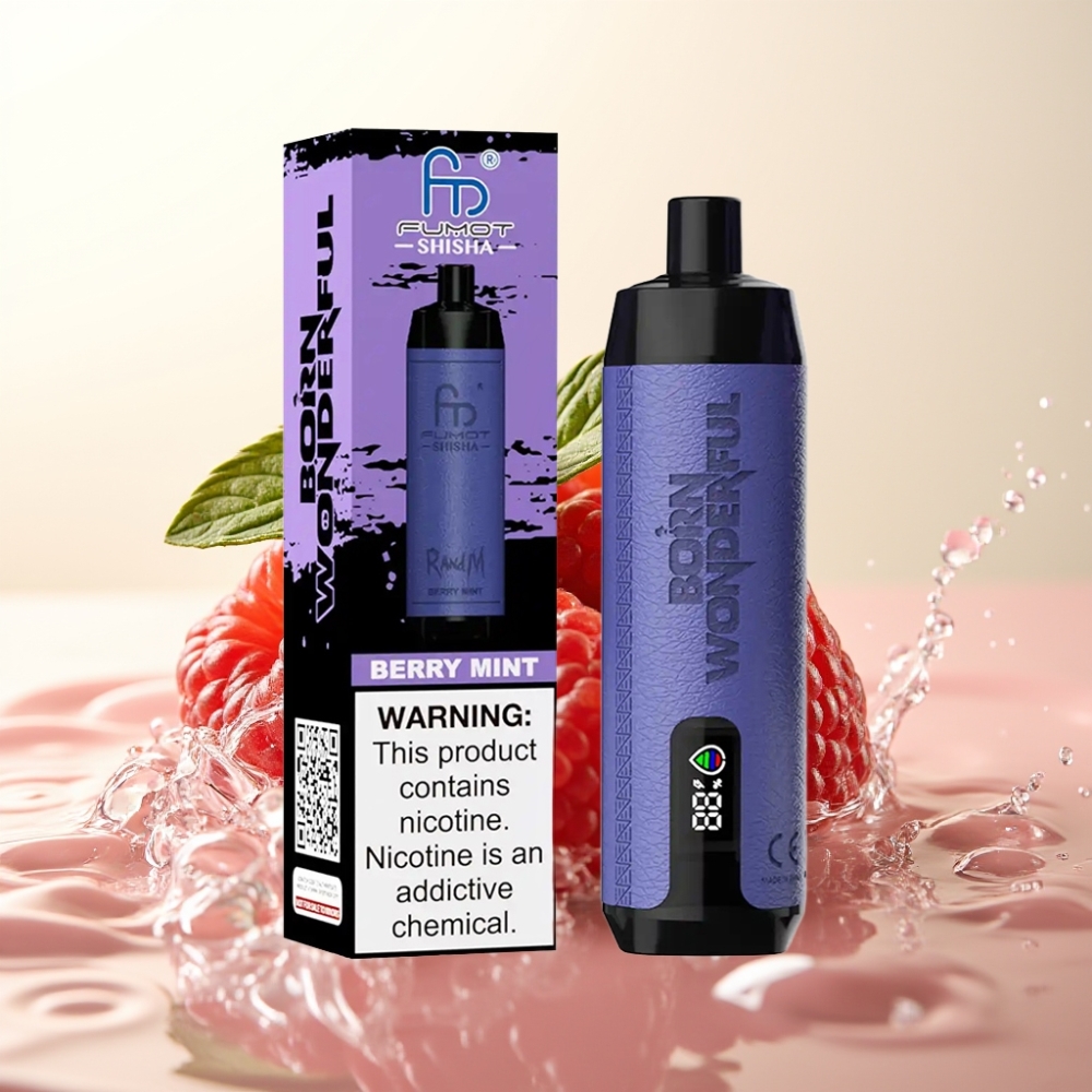 RandM Fumot Shisha 10000 Puffov Elektronska Cigareta z LED, 18ml E-tekočine, 850 mAh, 0.6ohm, Type-C, 0.5% Nikotina – Berry Mint